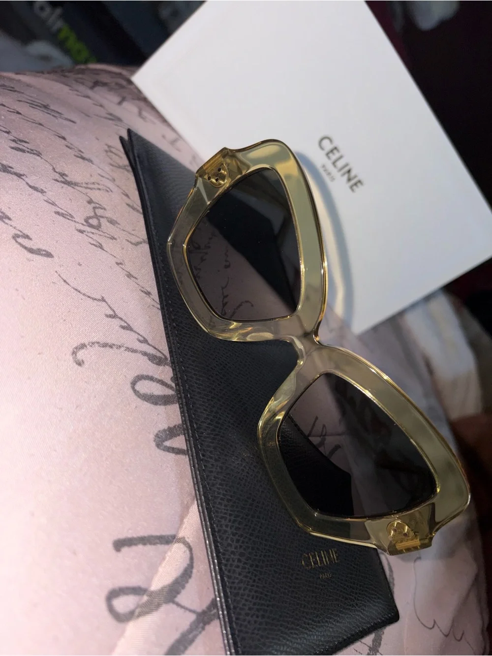 Celine designer cat